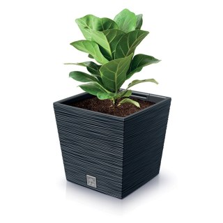 Doniczka FURU SQUARE LOW DFS240 - antracytowy