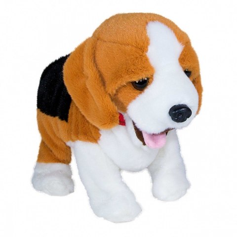 Maskotka interaktywna figo pies reagujący na komendy beagle