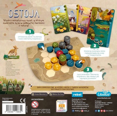 Gra ostoja
