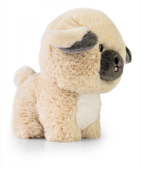 Maskotka teddy pets pekińczyk