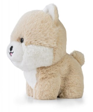 Maskotka teddy pets pomeranian