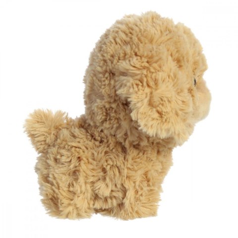 Maskotka teddy pets złoty pudel