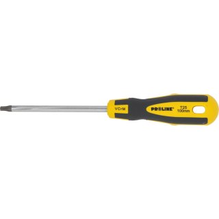 10193 Wkrętak torx security T25