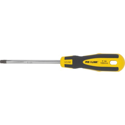 10195 Wkrętak torx security T30