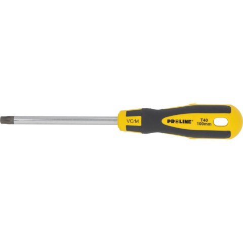 10196 Wkrętak torx security T40