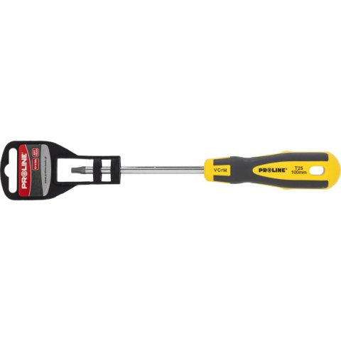 ZR10193 Wkrętak torx otwór T25x100mm S-T [Z] Proline