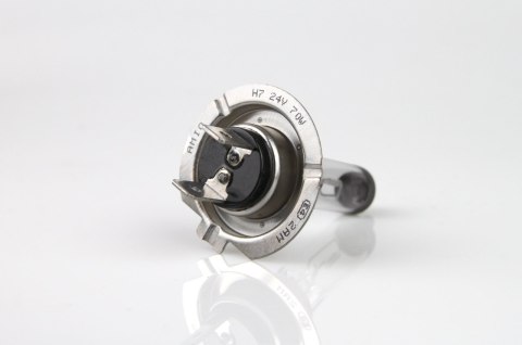 Żarówka halogenowa h7 24v 70w filtr uv (e8) amio-01252