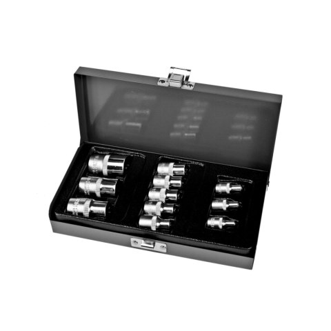 Zest.11 szt nasadek cv z gn.torx:1/2-3/8-1/4'',e4-20 proline