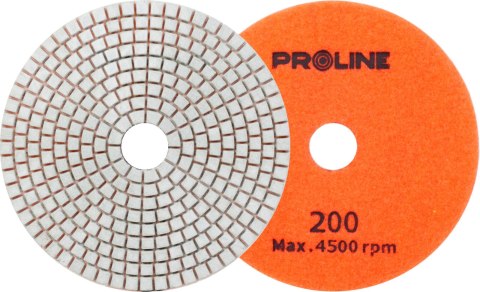 Nakładka diam., poler. gr.200, 125mm, gres/ceramika proline Nakładka diam., poler. gr.200, 125mm, gres/ceramika proline