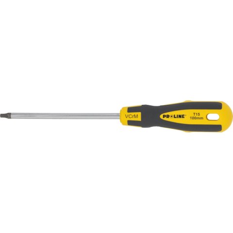 Wkrętak torx z otworem t15*100mm prof. 'soft touch' proline