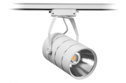 Lampa sklepowa led reflektor szynowy jednofazowy biały metalowy 30w 2550 lm światło ciepłe 3000k