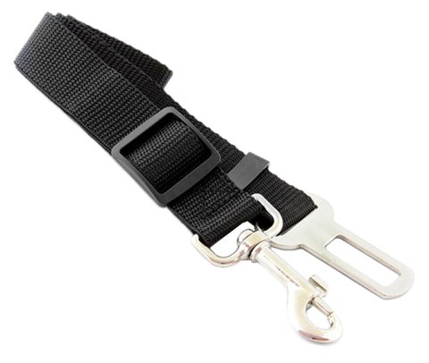 ZW4 Smycz do samochodu dla psa