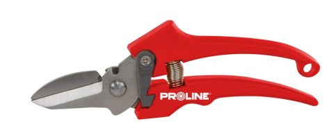 Sekator do kwiatów premium, inox, 8", proline Sekator do kwiatów premium, inox, 8", proline