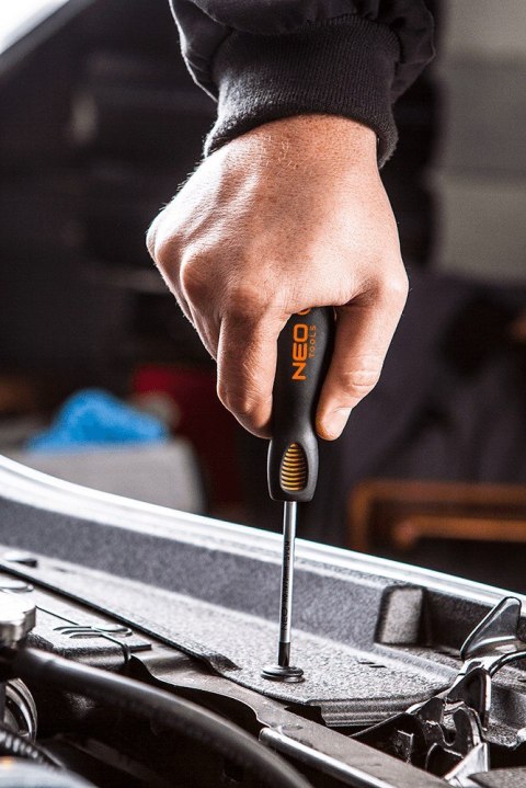 Wkrętak Torx T25 x 100 mm, S2 Wkrętak Torx T25 x 100 mm, S2