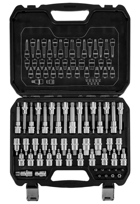 Zestaw bitów Torx, 49 szt.
