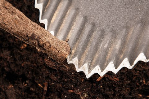 Szpadel ostry, drewniany trzonek, T-Rex