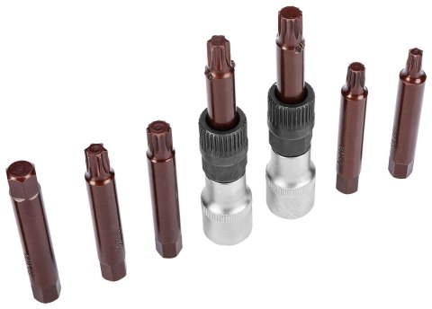 Zestaw do demontażu alternatora, zestaw 13 szt.