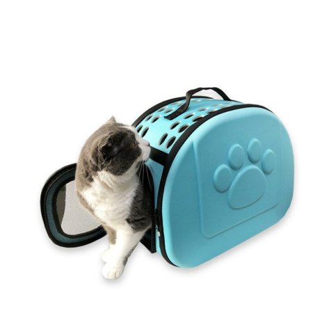 AG644J Transporter psa kota blue xxl