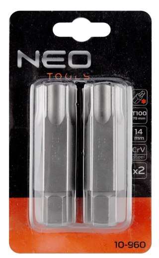 Końcówka Torx T100 x 75 mm, S2, 2 szt.