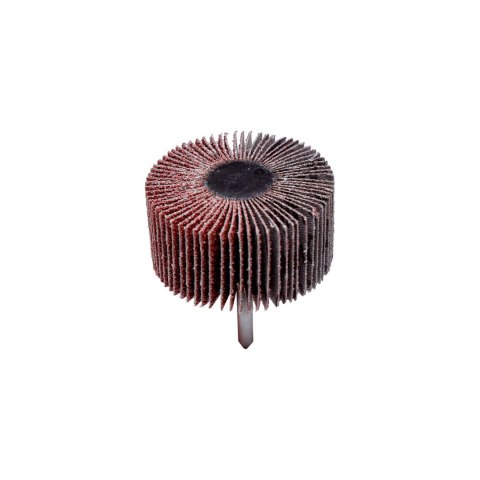 Ściernica listk.trzpien.km613 30*15*6 gr.40(45602x)op.10szt Ściernica listk.trzpien.km613 30*15*6 gr.40(45602x)op.10szt