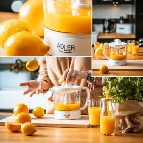 AD 4009 Wyciskarka do cytrusów