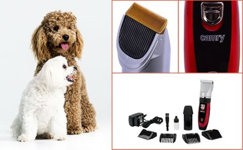 CR 2821 Strzyżarka dla zwierząt z ładowaniem przez usb