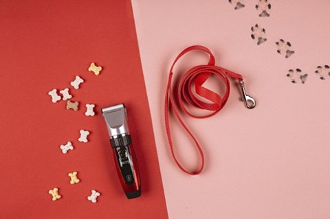 CR 2821 Strzyżarka dla zwierząt z ładowaniem przez usb