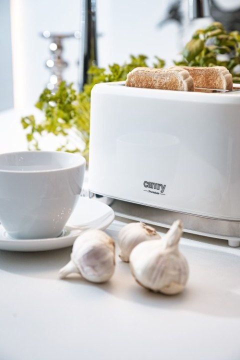 CR 3219 Toster 2 kromki