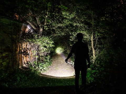 Latarka TRACER szperacz 1200mAh z lampką