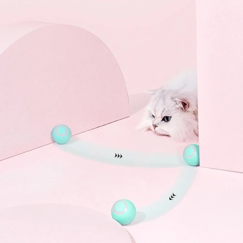 ZW28 Interaktywna piłka dla kota psa zabawka