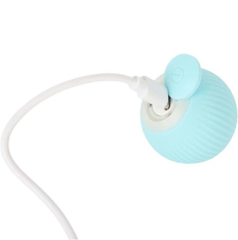 ZW28 Interaktywna piłka dla kota psa zabawka