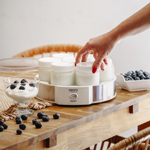 CR 4519 Jogurtownica