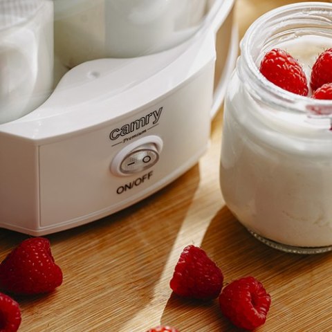 CR 4519 Jogurtownica