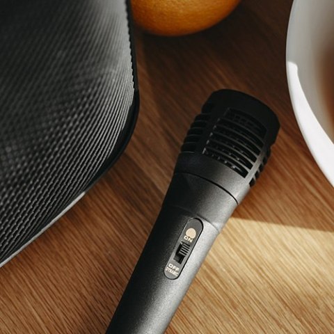 AD 1903 Głośnik bluetooth z radiem / funkcja karaoke