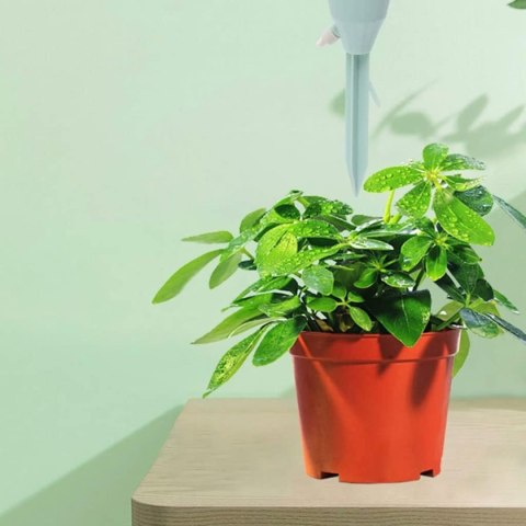 AG91P Nawadniacz do roślin zest. 3szt