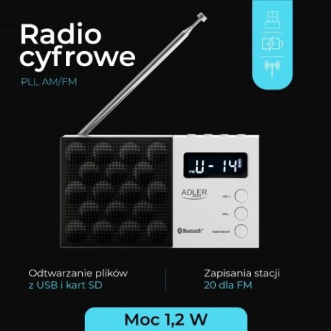 AD 1908 Radio cyfrowe pll am/fm