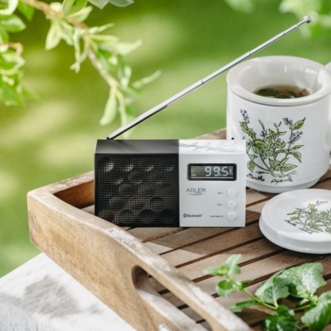 AD 1908 Radio cyfrowe pll am/fm