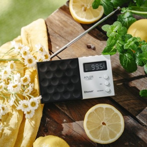 AD 1908 Radio cyfrowe pll am/fm