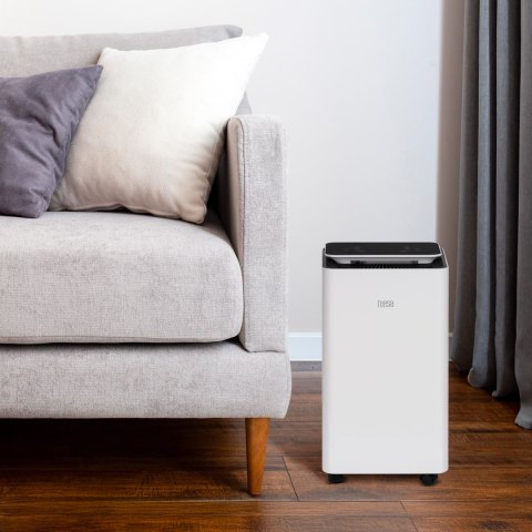 Osuszacz powietrza, pochłaniacz wilgoci Teesa