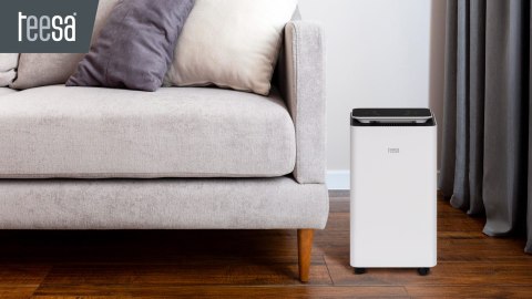 Osuszacz powietrza, pochłaniacz wilgoci Teesa