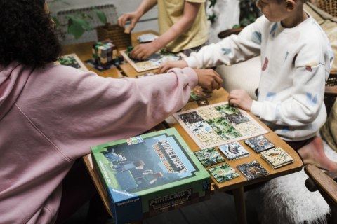 Gra planszowa minecraft builders and biomes