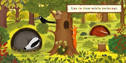 Książeczka rok w lesie. borsuk Książeczka rok w lesie. borsuk