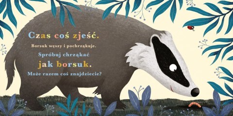 Książeczka rok w lesie. borsuk Książeczka rok w lesie. borsuk