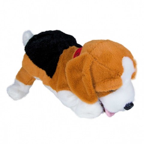 Maskotka interaktywna figo pies reagujący na komendy beagle