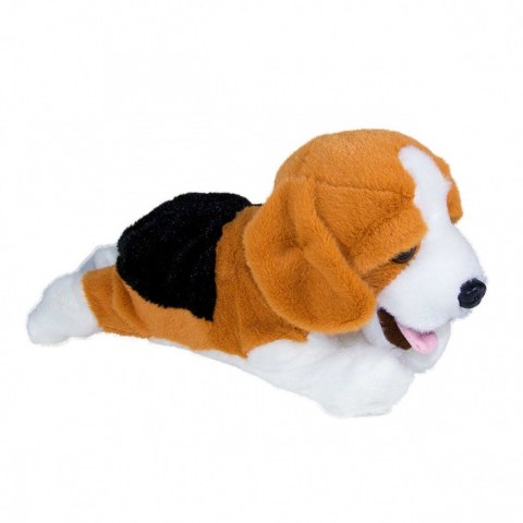 Maskotka interaktywna figo pies reagujący na komendy beagle