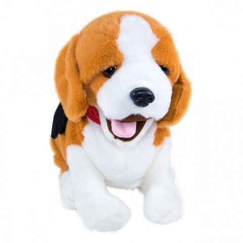 Maskotka interaktywna figo pies reagujący na komendy beagle