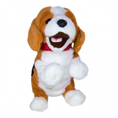 Maskotka interaktywna figo pies reagujący na komendy beagle