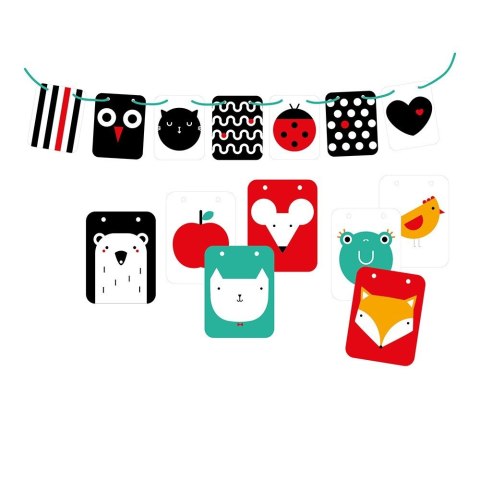 Starter malucha - co widzę