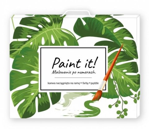 Obraz malowanie po numerach - balerina o zachodzie