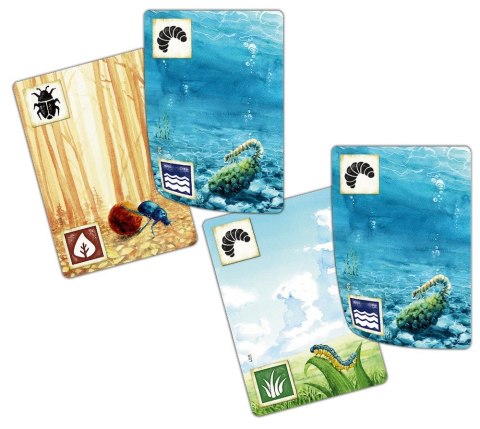 Gra Łąka: z biegiem strumienia - dodatek